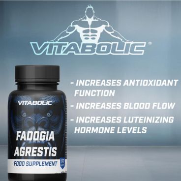 Imagine produs Fadogia Agrestis 60 caps